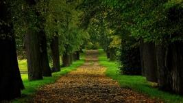 Valdštejnská alej v Zahrádkách Tomáš Boček Liberecký 22